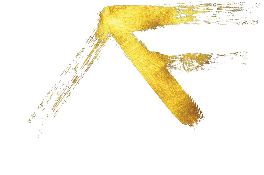 Anselm Fischer Logo